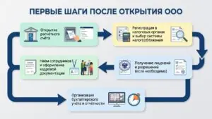 Что делать после открытия ООО — первые шаги